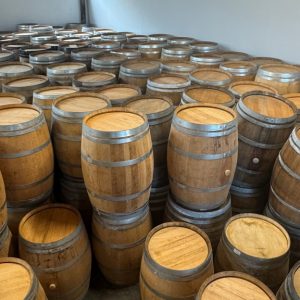 BARRIQUES USO ESTETICA ATTREZZATURA USATA