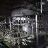 DIPRAN QUADRIBLOCK MODELLO VELOX T 24/24/4/3, SECOND-HAND MACHINE - Image 26