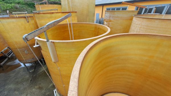 FIBERGLASS TANKS , VARIABLE CAPACITY TANK GIMAR, CAPACITY HL 80 ABOUT, BOTTOM TO DY OFF, SECOND-HAND EQUIPMENT - Image 16