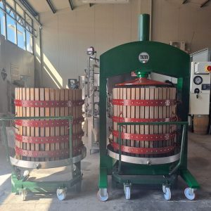 TEM HYDRAULIC PRESS, DIAMETER 80, TWO CAGES AND TWO TROLLEYS, SECOND HAND MACHINE