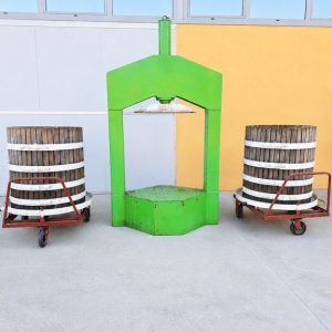 PRESSA IDRAULICA MARCA CEP, DIAMETRO 80 CON N. 02 CARRELLI, MACCHINA USATA